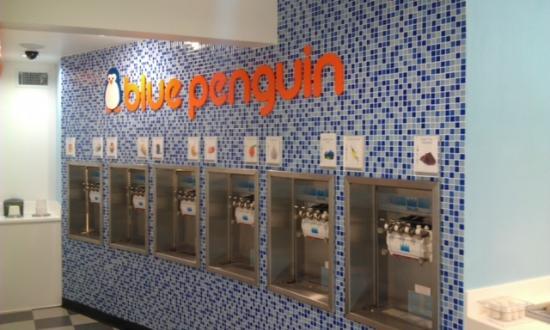 Blue Penguin Yogurt